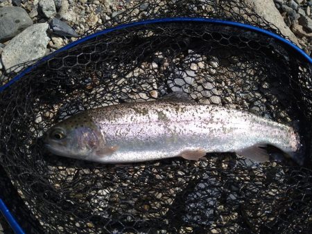 濁りの強さに苦戦